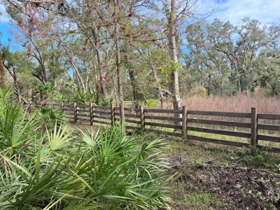 20 Acres on the pristine Peace River in Arcadia, FL! - image 16