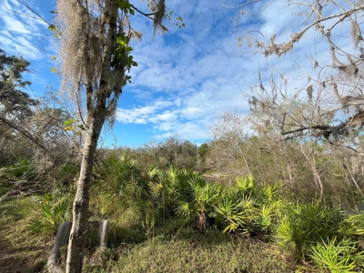 20 Acres on the pristine Peace River in Arcadia, FL! - image 13