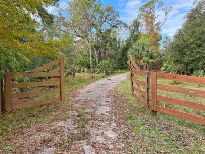 20 Acres on the pristine Peace River in Arcadia, FL! - image 22