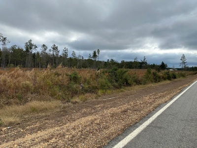 Timberland For Sale in Kingsland Arkansas - image 2