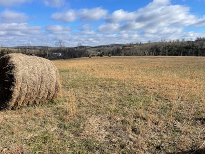 Pasture Land For Sale - image 3