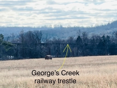 Pasture Land For Sale - image 9