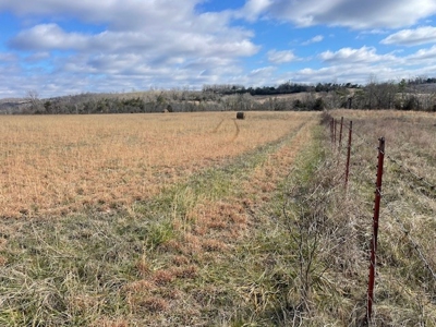 Pasture Land For Sale - image 4