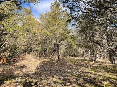 Pasture Land For Sale - image 7