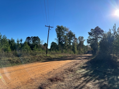 Land Timberland For Sale in Bradley County AR - image 1