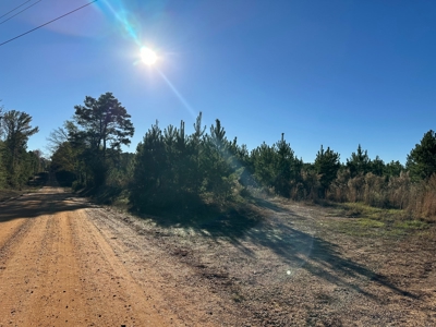 Land Timberland For Sale in Bradley County AR - image 2