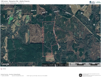 Hunting Land For Sale in Amite County MS - image 19