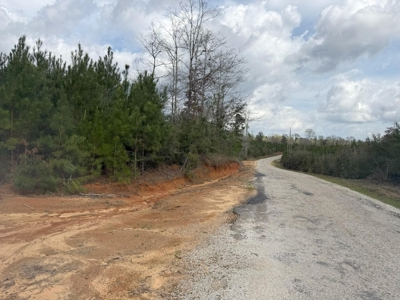 Hunting Land For Sale in Amite County MS - image 16