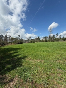 Hunting Land For Sale in Amite County MS - image 15