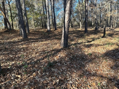 Large Residential Partially Wooded Lot in Kingston Meadows - image 9