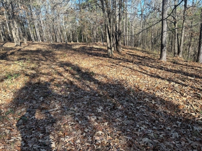 Large Residential Partially Wooded Lot in Kingston Meadows - image 10