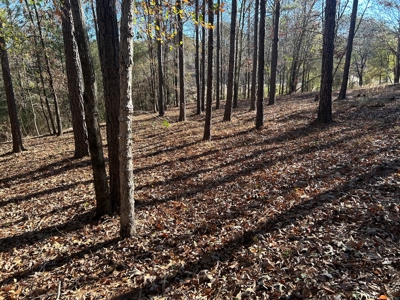 Large Residential Partially Wooded Lot in Kingston Meadows - image 19