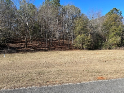 Large Residential Partially Wooded Lot in Kingston Meadows - image 4