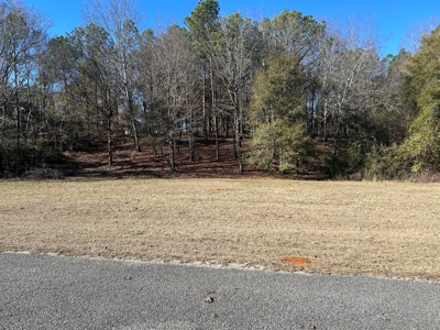 Large Residential Partially Wooded Lot in Kingston Meadows - image 2