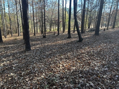 Large Residential Partially Wooded Lot in Kingston Meadows - image 22