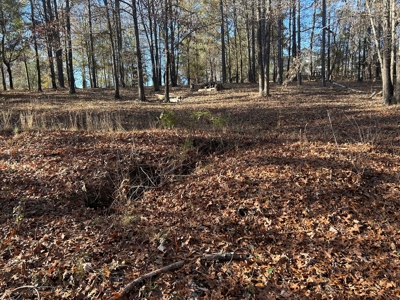 Large Residential Partially Wooded Lot in Kingston Meadows - image 18