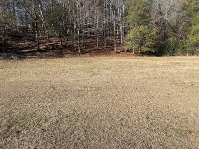Large Residential Partially Wooded Lot in Kingston Meadows - image 7
