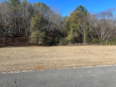 Large Residential Partially Wooded Lot in Kingston Meadows - image 3