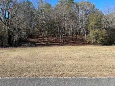 Large Residential Partially Wooded Lot in Kingston Meadows - image 1