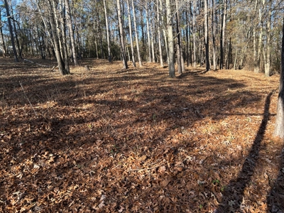 Large Residential Partially Wooded Lot in Kingston Meadows - image 20