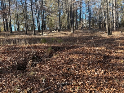 Large Residential Partially Wooded Lot in Kingston Meadows - image 21