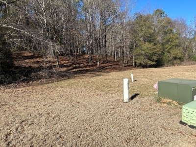Large Residential Partially Wooded Lot in Kingston Meadows - image 14