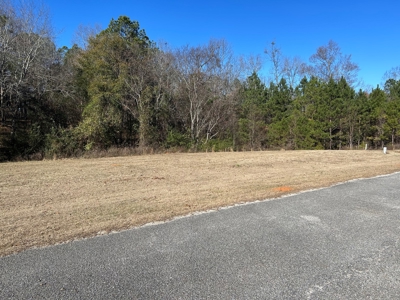 Large Residential Partially Wooded Lot in Kingston Meadows - image 5