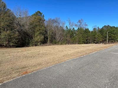 Large Residential Partially Wooded Lot in Kingston Meadows - image 11