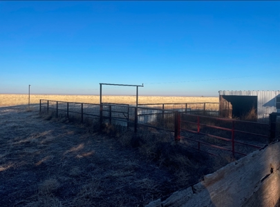 Country Home and Land for Sale in Portales, NM - image 9