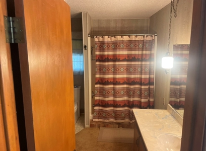 Country Home and Land for Sale in Portales, NM - image 14