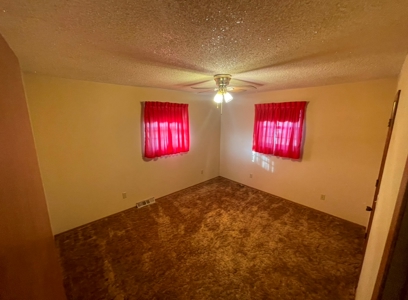 Country Home and Land for Sale in Portales, NM - image 16