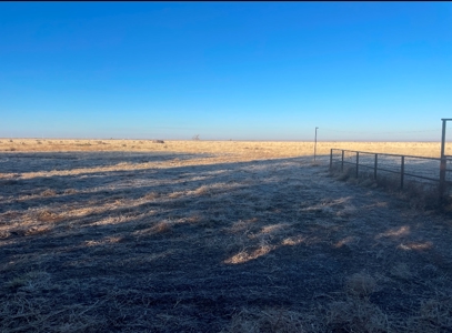 Country Home and Land for Sale in Portales, NM - image 8