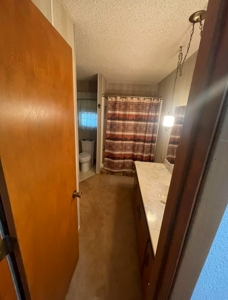 Country Home and Land for Sale in Portales, NM - image 17