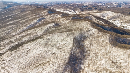 Large Timber Tract for Sale in Bluefield VA - image 16