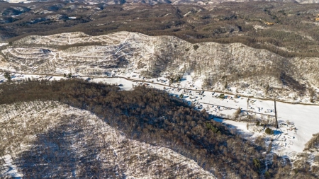 Large Timber Tract for Sale in Bluefield VA - image 23