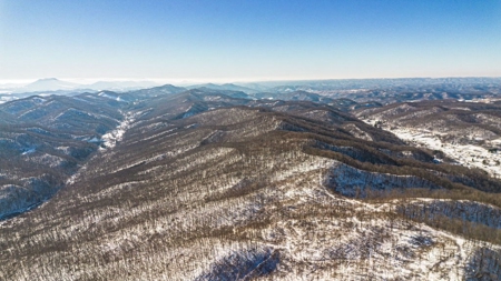 Large Timber Tract for Sale in Bluefield VA - image 20
