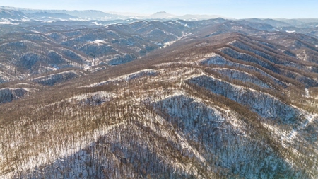 Large Timber Tract for Sale in Bluefield VA - image 7
