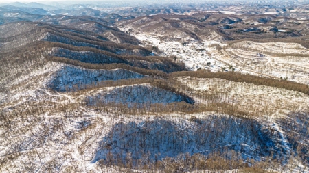 Large Timber Tract for Sale in Bluefield VA - image 22