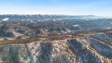 Large Timber Tract for Sale in Bluefield VA - image 5