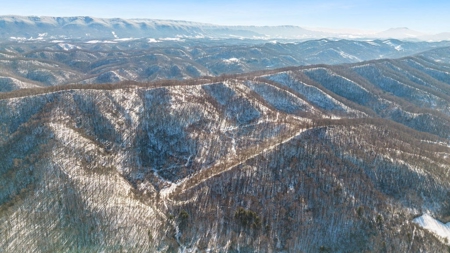 Large Timber Tract for Sale in Bluefield VA - image 2