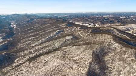 Large Timber Tract for Sale in Bluefield VA - image 17