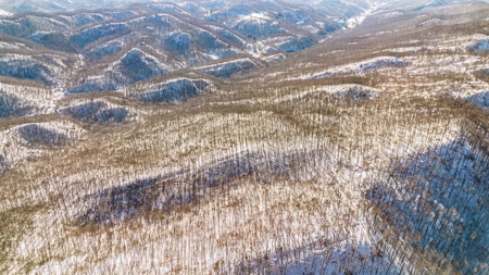 Large Timber Tract for Sale in Bluefield VA - image 12