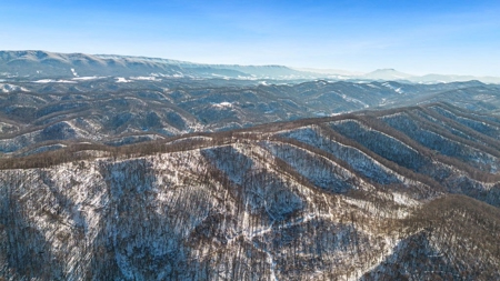 Large Timber Tract for Sale in Bluefield VA - image 4