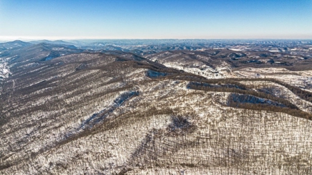 Large Timber Tract for Sale in Bluefield VA - image 19