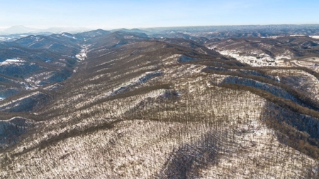 Large Timber Tract for Sale in Bluefield VA - image 14