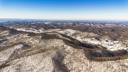 Large Timber Tract for Sale in Bluefield VA - image 18