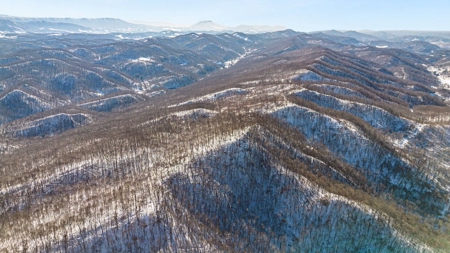 Large Timber Tract for Sale in Bluefield VA - image 10
