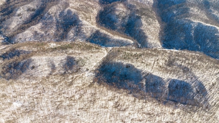 Large Timber Tract for Sale in Bluefield VA - image 15