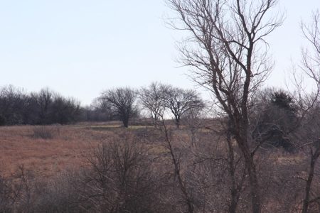 Eastern Kansas Grass Land & Timber For Sale At Auction - image 11