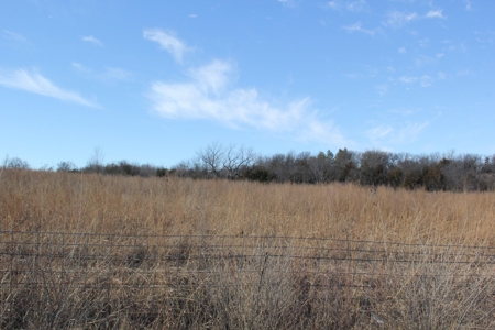 Eastern Kansas Grass Land & Timber For Sale At Auction - image 13